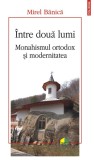 Intre doua lumi. Monahismul ortodox si modernitatea - Mirel Banica - Polirom