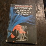 Acupunctura si sistemul informational energetic - Teodor Caba