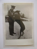 Rară! Fotografie presă 181x121 mm cu regele Mihai și c&acirc;inele său favorit anii 40