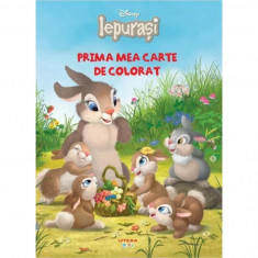 Iepurasi Prima Mea Carte De Colorat, Marni Mcgee - Editura Litera
