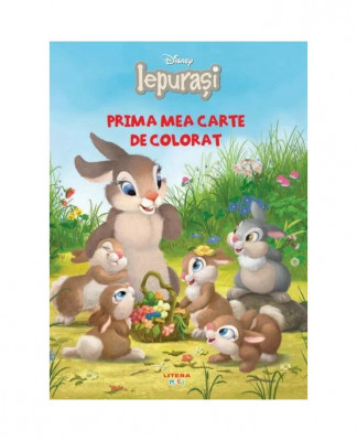 Iepurasi Prima Mea Carte De Colorat, Marni Mcgee - Editura Litera foto