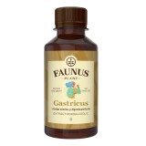 Tinctura Gastricus pentru digestie si confort gastric, 200 ml, Faunus Plant