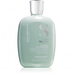 Alfaparf Milano Semi Di Lino Scalp Rebalance sampon de curatare delicat anti matreata 250 ml