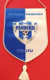 Fanion fotbal - "VIITORUL" PANDURII TARGU-JIU