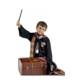 Cumpara ieftin Set costum Harry Potter Deluxe cu cufar pentru copii 110 - 130 cm 5-7 ani