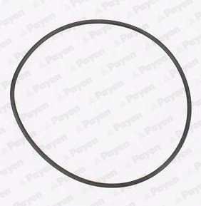 PAYEN KA845 Garnitura, pompa de apa foto