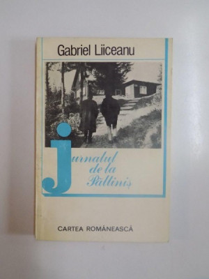 JURNALUL DE LA PALTINIS de GABRIEL LIICEANU 1983 foto