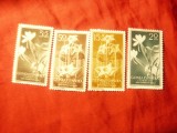 Serie Guineea Spaniola 1956 - Flora , 4 valori, Nestampilat