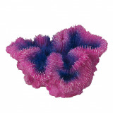 Cumpara ieftin Decor Coral Symphylia Violet 12x5x12 cm 234 431351