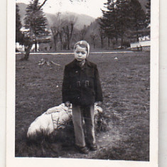bnk foto - Copil in parc - anii `50 - Foto A David