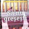 SA NU GRESESTI-LEE CHILD-362424