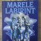 Fernando Savater - Marele labirint