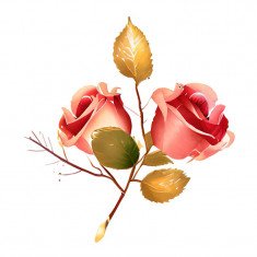 Sticker decorativ Trandafiri, Portocaliu, 64 cm, 7982ST foto