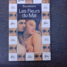 Les Fleurs du Mal - Baudelaire (carte in limba franceza)