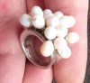 (172) INEL DIN ARGINT DAMA, CU PERLE, VINTAGE, MODEL SUPERB, MARCAJ ARGINT 925