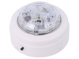 Semnalizator Luminos Flash Alb Solista Maxi 9-60VDC