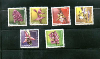 ROMANIA 2007 - ORHIDEE SALBATICE DIN ROMANIA, MNH - LP 1758 foto