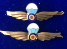 Insigne militare - Semne de arma - Avia?ie - Para?uti?ti RSR -1966-1977 (aurii) foto