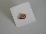 QW9 N5 7 - insigna - tematica heraldica - ACF