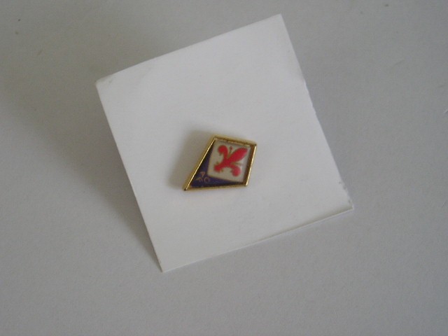 QW9 N5 7 - insigna - tematica heraldica - ACF
