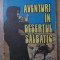 AVENTURI IN DESERTUL SALBATIC-KARL MAY-267922