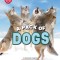 A Pack of Dogs (Learn About: Animals)