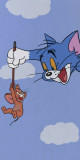 Husa Personalizata SAMSUNG Galaxy XCover 4 Tom and Jerry 1