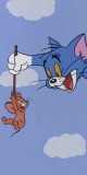 Husa Personalizata SAMSUNG Galaxy Note 10 Tom and Jerry 1