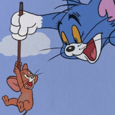Husa Personalizata ALLVIEW V1 Viper S 4G Tom and Jerry 1