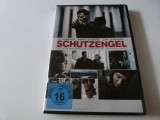 Ingerul pazitor, dvd