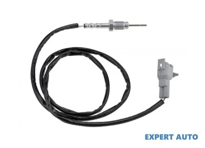 Senzor temperatura gaze dpf Suzuki GRAND VITARA II (2005-&amp;gt;)[JT,TE,TD] #1 foto