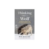 Thinking Like a Wolf: Lessons from the Yellowstone Packs