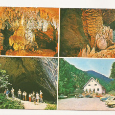 Carte Postala veche - Pestera Meziad , jud Bihor, Circulata 1985