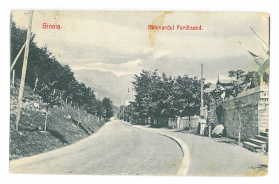 4944 - SINAIA, Prahova, Ave. Ferdinand, Romania - old postcard - used - 1908 foto