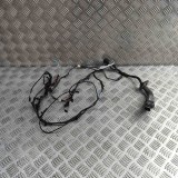 Cablaj ușă st&acirc;nga față BMW X6 E71, E72 2009 OEM: 9203114,6900922 31318390