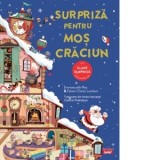 Surpriza pentru Mos Craciun - Cristina Poterasoiu, Emmanuelle Rey