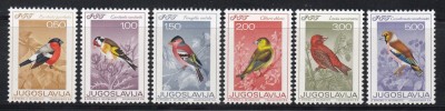 Iugoslavia 1968 - Păsări - Cinteze, MNH foto