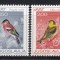 Iugoslavia 1968 - Păsări - Cinteze, MNH