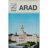 ARAD MONOGRAFIE-ARDELEAN AUREL, HEGYI TIBERIU SI COLAB.-93857