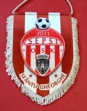 Fanion fotbal - "SEPSI" OSK SFANTU-GHEORGHE