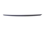 Ornament vertical parbriz dreapta AUDI A4 8W2, B9 2018 OEM: 8W0854328C 15090822