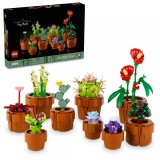 Plantute in ghiveci