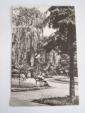 QW23 B - Carte postala - tematica turism - vedere - Romania - Bacau 4, Necirculata, Fotografie