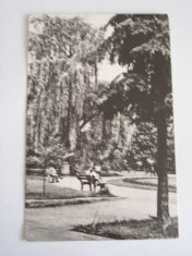 QW23 B - Carte postala - tematica turism - vedere - Romania - Bacau 4