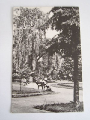 QW23 B - Carte postala - tematica turism - vedere - Romania - Bacau 4 foto
