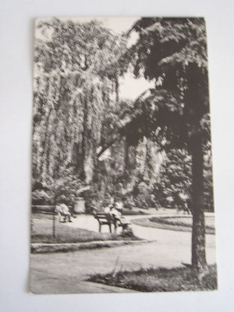 QW23 B - Carte postala - tematica turism - vedere - Romania - Bacau 4