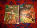 Bauturi din legume + Bauturi si dulciuri din fructe ( colectia caleidoscop )