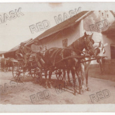 4539 - ZALAU, Salaj, Horses with carriage, Romania - old postcard - used - 1907