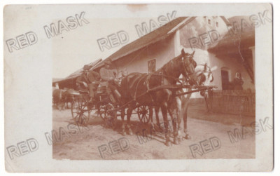 4539 - ZALAU, Salaj, Horses with carriage, Romania - old postcard - used - 1907 foto