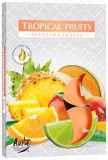 Set de Lumanari parfumate tip Pastila - Fructe Tropicale